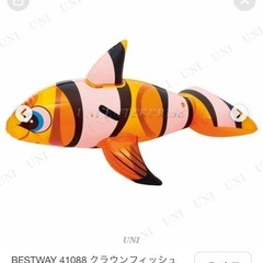 クマノミ フロート 浮き輪 空気入れ 中古セットの画像