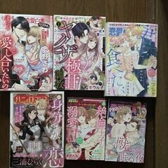レディコミ　恋愛・H・ロマンス系　色々13冊+2冊セットの画像