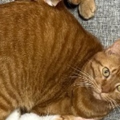 大切にしてくださる方。長文