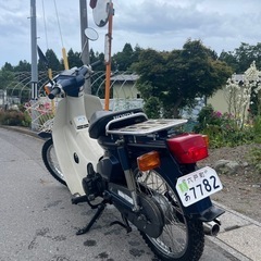 バイク ホンダ・スーパーカブ50  の画像