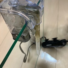25cmキューブ水槽セットの画像