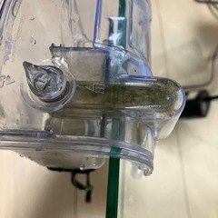 25cmキューブ水槽セットの画像