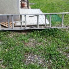 引き取りのみ 二連梯子の画像