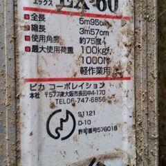 引き取りのみ 二連梯子の画像
