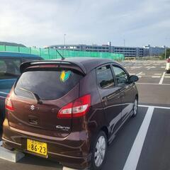 スズキシェルボの画像