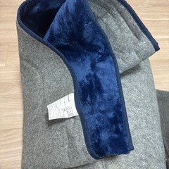 電気カーペットと専用カバーの画像