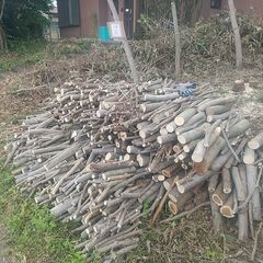 薪　無料！　坂戸市多和目　ご自由にどうぞの画像