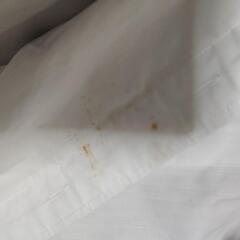 しまむら半袖Yシャツ白Lの画像