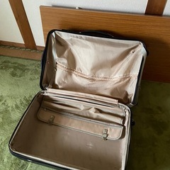 キャリーバッグの画像