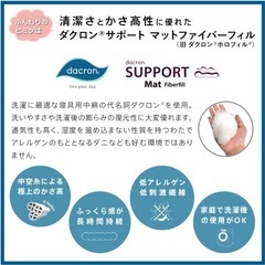 【未使用／2枚セット】洗えるボリューム厚手パット（ダクロン・日本製）の画像