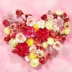 心の余裕があり、落ち着いている友達希望✨