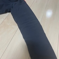 カナダグース　ラッセルの画像