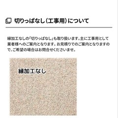 ①レモードIII MD3101東リロールカーペット （撥水防汚/防炎/防ダニ）の画像