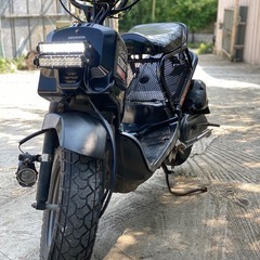 ホンダ　zoomer の画像