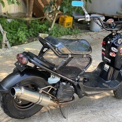 ホンダ　zoomer の画像