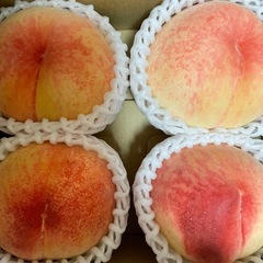 山梨の桃農園が小平市で桃直売　まかない桃1パック4個入り
500円からの画像