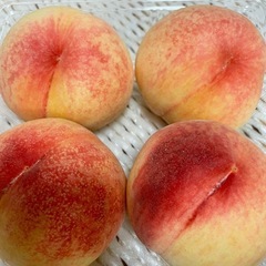 山梨の桃農園が小平市で桃直売　まかない桃1パック4個入り
500円からの画像