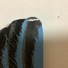 バードフック　木製　壁掛け　飾り　3点の画像