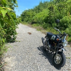 ゴリラバイク110ccの画像