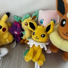ポケモンのぬいぐるみの画像