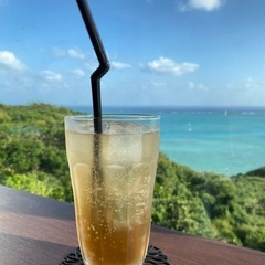 ゆるスピお茶会☕️✨メンバー募集❣️🐉