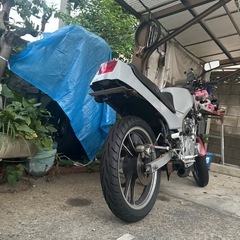 GF250 書類付 GJ71C 現状 急募　希少 スズキ 検) の画像