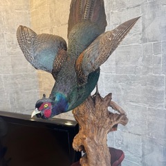 リアルな羽毛で作られたキジの立体オブジェ、緑と青の美しいグラデーションが特徴。の画像