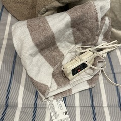 電気毛布の画像