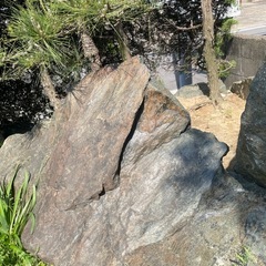 庭石欲しい方/四日市市/0円/引き取り限定の画像