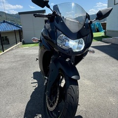 【値下げしました※7月末まで】ニンジャ250の画像