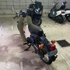 神戸市須磨区　スーパーカブの画像