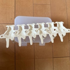 決定しました　ブタさん6連アイアンフックの画像