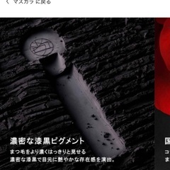 シュウウエムラ(shu uemura) マスカラ黒の画像