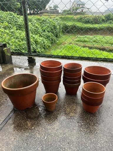 植木鉢／中古 (キリンリン) 中萩の家庭用品《ガーデニング》の