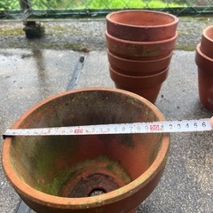 植木鉢／中古の画像