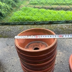 植木鉢／中古の画像
