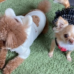 大事に育ててきました。