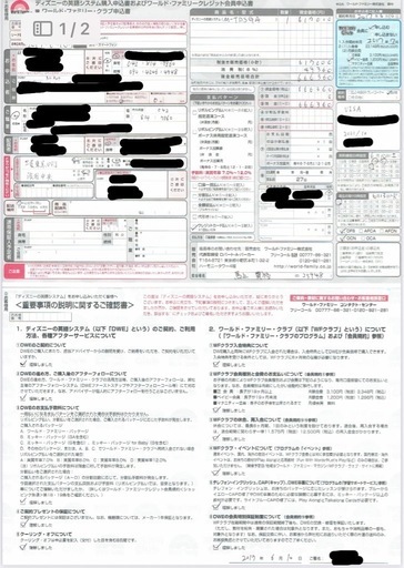 ディズニー英語システム棚DVDmateセット2017購入
