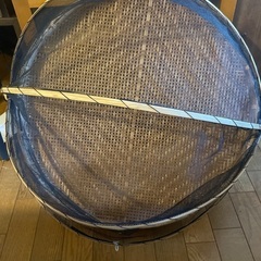 土用の梅干し干しざるの画像