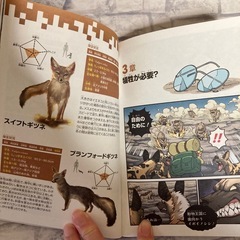 どっちが強い！？の画像