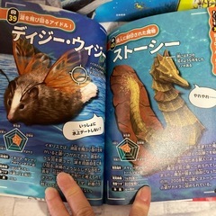 本の画像