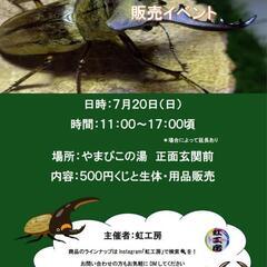 昆虫くじ、生体用品販売‼️