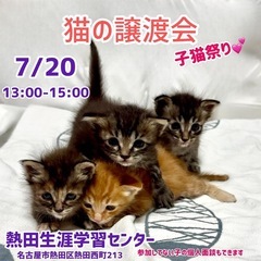 可愛い子ちゃんだらけ