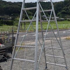 鹿児島発　長谷川工業アルミ合金専用脚立XAM-330　引き取りできる方の画像