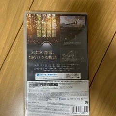 switch版　ホグワーツレガシーの画像