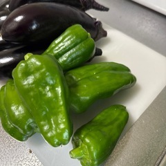 採れたて野菜の画像