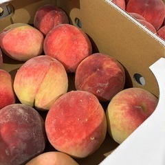 程度の良い
はねだし桃の画像