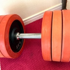 FIGHTING ダンベル 20kg と30kg 2個セットの画像