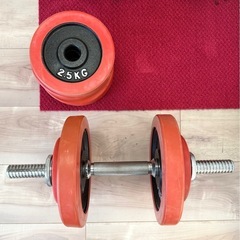 FIGHTING ダンベル 20kg と30kg 2個セットの画像