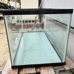 90センチ水槽の画像